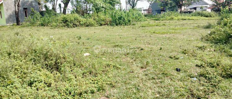 Tanah padat buat investasi, buat workshop dll.di samping perumahan suvarna padi 1