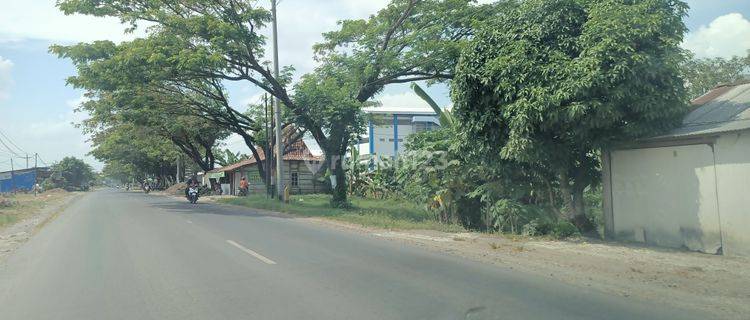 Zona merah untuk kawasan industri di Purwodadi Grobogan Jawa tengah 1