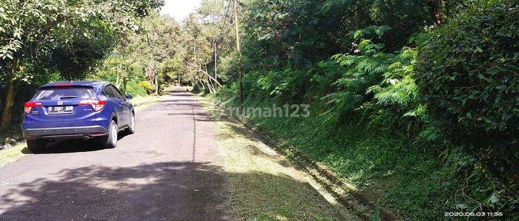 Tanah Murah Cocok Utk Villa Kawasan Megamendung Bogor 1