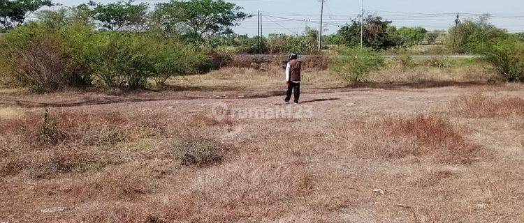 Tanah Nol Jalan Raya Jenu Tuban 1