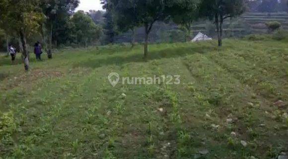 Tanah Kebun Murah Cisarua Dekat Lembang Padalarang tol Padaleunyi 1