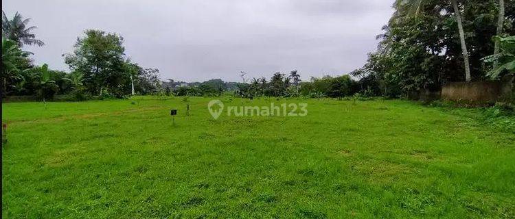 Tanah Luas Murah Dekat Dramaga, Ipb, Cifor, Tol Lingkar Bogor 1