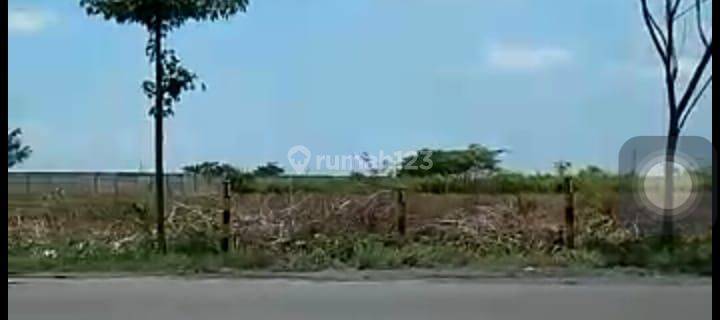 D014. Tanah Untuk Industri Kecamatan Widang, Tuban, Jawa Timur. 1