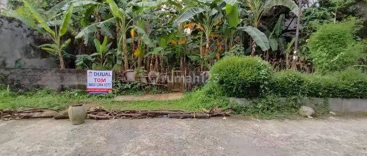 Tanah Murah Strategis Ciburial Pajajaran, Botani, Kebun Raya, Jagorawi 1