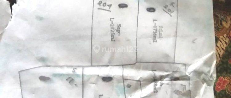 Tanah SHM 13882 m2 lebar pintu 35 meter di Mantup Lamongan 1
