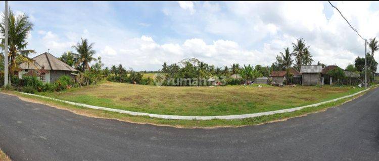 Beautiful Riverside 4150m2 Land Near Kaba-Kaba, Tabanan, Bali 1