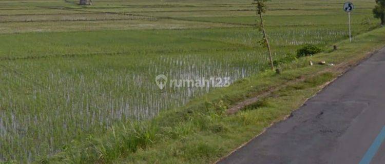 Lahan Tanah Di Jatikalen Nganjuk Zona Industri 1