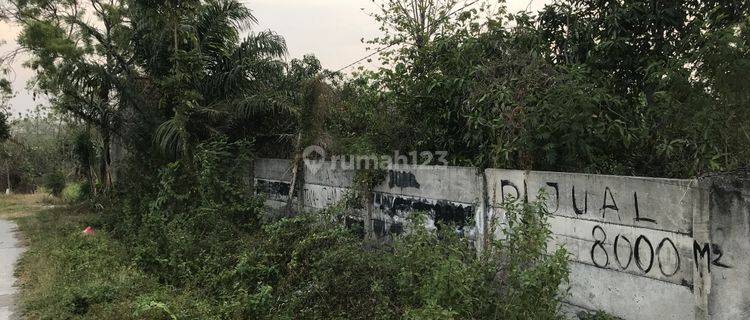 Tanah Industri Pelang, Raya Mantup, Lamongan 1