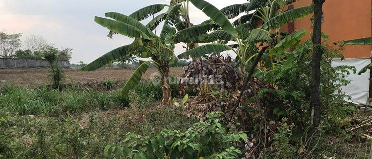 Tanah Industri Lopang, Raya Mantup, Lamongan 1