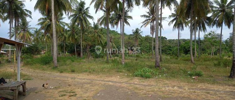 Tanah Pinggir Jalan Raya Zona Industri Di Pelabuhan Ratu 1