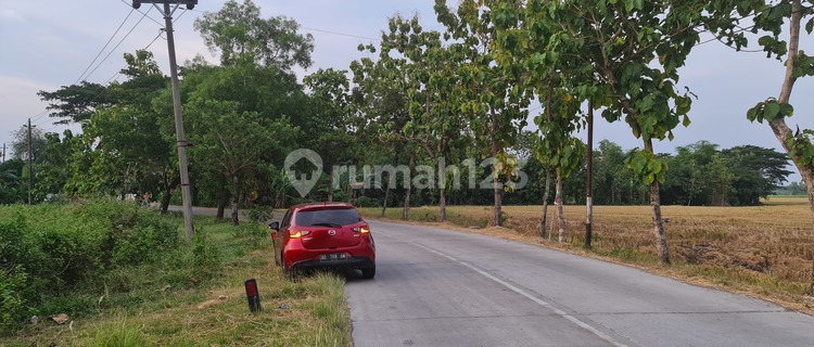 Tanah industri murah dekat tol sragen jawa tengah 1