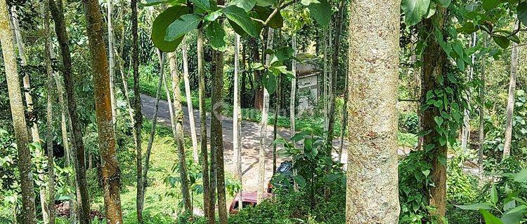 Tanah Trawas mojokerto cocok villa view gunung penanggungan 1