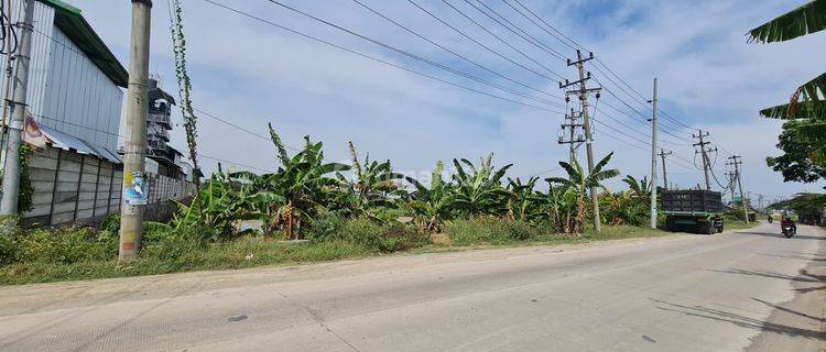 Tanah Dijual Di Loireng, Sayung, Demak 1