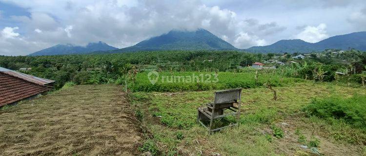 Tanah Di Baturiti Bedugul 1