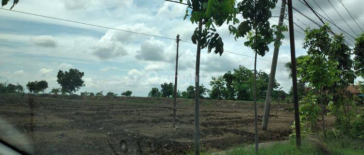 Tanah Raya Jati langkir Tikung Lamongan 1