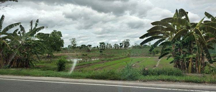 Tanah Raya Mantup Kembangbahu Lamongan 1