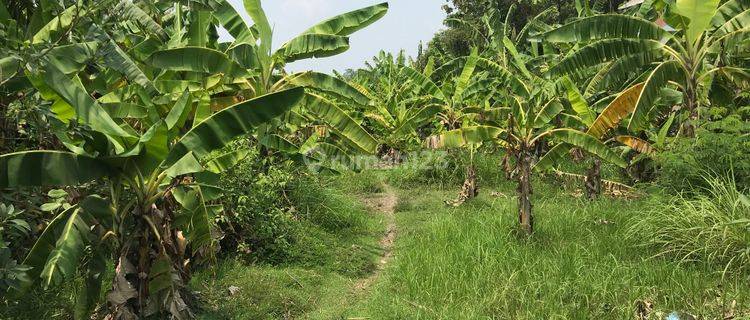 Tanah industri Jombang Di Bawah 1 Hektare 1