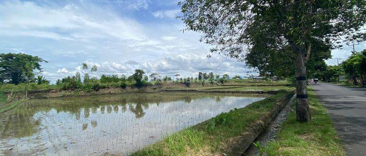 Bali Convenient Land At Jl Raya Krasan, Badung Close To Ubud. 1