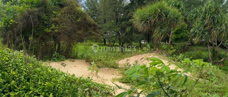 Tanah Industri di Raya Gelondong Jenu Tuban 1