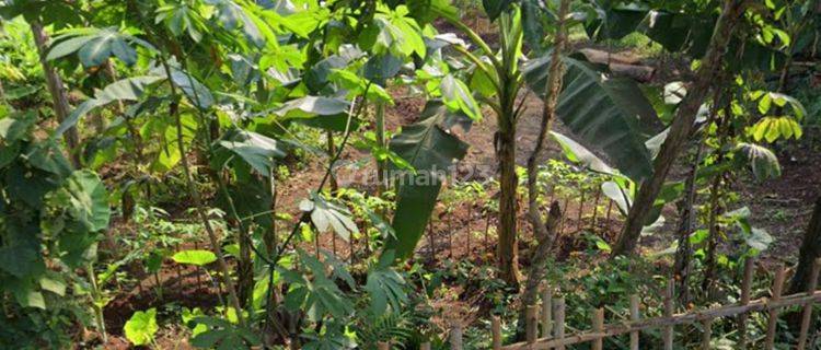 TANAH CAKEP BISA CLUSTER DI KELAPA DUA TANGERANG 1