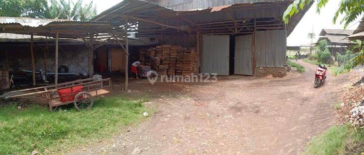 Peternakan Ayam Petelur Desa Sukaraksa – Bogor Barat 1