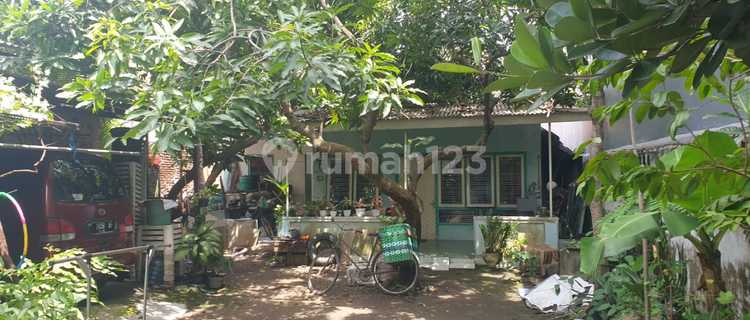 CHEAP! RARE! MLATEN TRENGGULUN LAND LOCATED IN THE HEART OF SEMARANG'S BUSINESS DISTRICT. VERY WIDE ROAD ACCESSIBLE FOR CONTAINER TRUCKS, ETC. VERY SUITABLE FOR THOSE NEEDING WAREHOUSES/BUSINESSES, NO WASTE IN THE CITY CENTER. 1