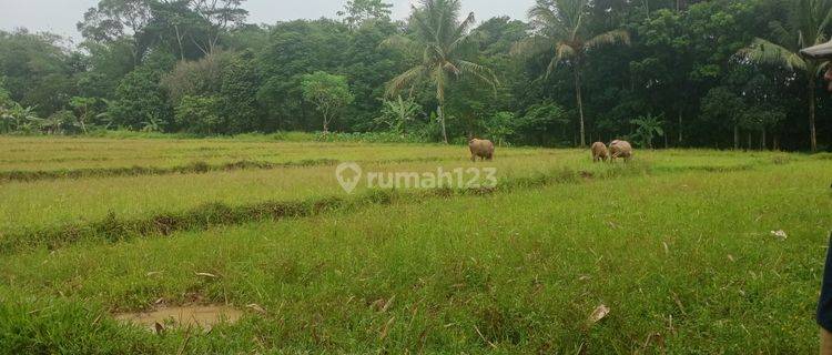 Tanah industri di jual di serang banten 1