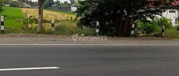Tanah pinggir jalan raya cocok untuk pabrik 1
