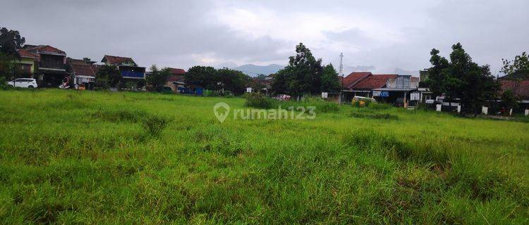 Tanah Mainroad Kawasan Zona Abu di Pameuntasan 1