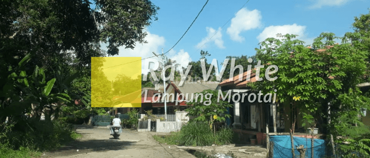 Dijual Tanah di Katibung, Lampung Selatan 1