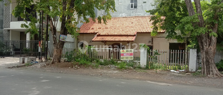 Tanah Disewakan di Jl. Halmahera Semarang 1