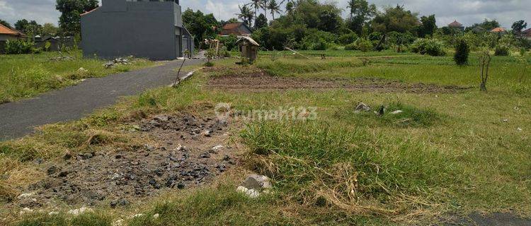 Tanah Di Singapadu Dekat Balizoo Aspek Perumahan Murah 1