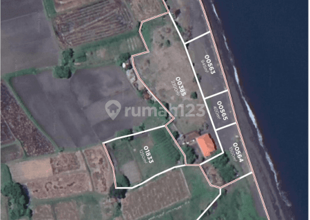 Ready-to-use BUngkulan Beach Plots for sale  1