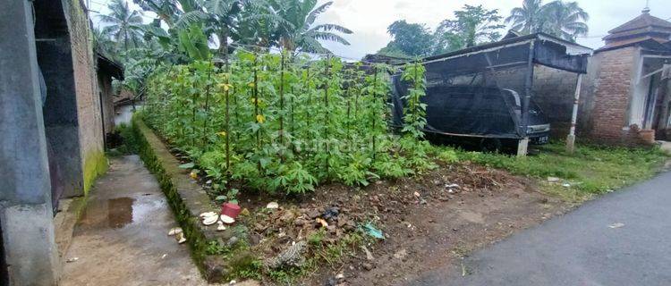 tanah kosong cocok buat kosan di peringapus 1