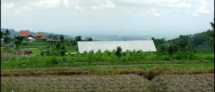 Tanah View Lembah Dan Gunung Dekat Karmel Bedugul Bali 1