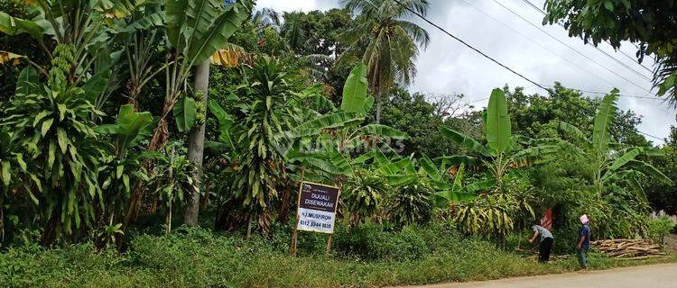 Lahan di Jalan Utama Cinangka Anyer 1