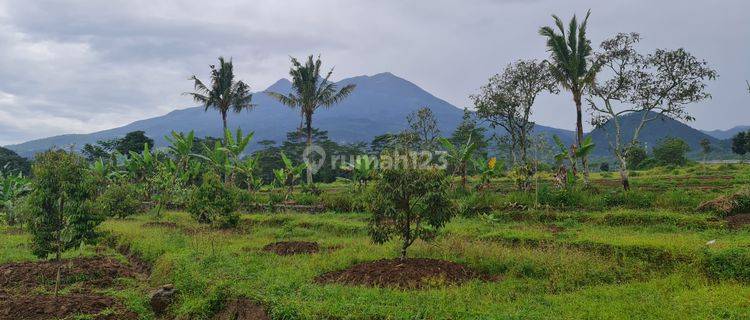 Tanah pemandangan gunung lawu di karangpandan solo 1