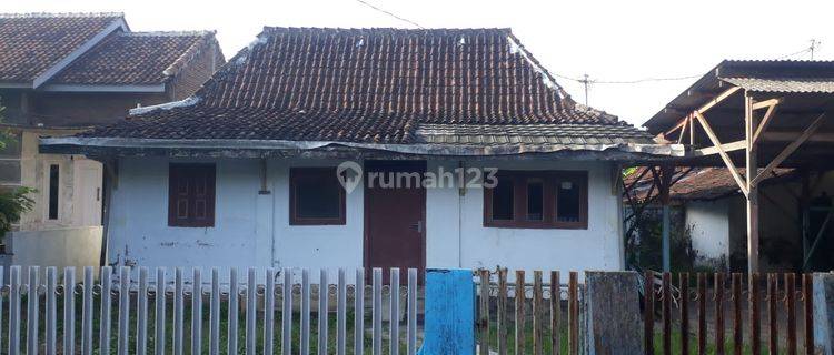 DIJUAL CEPAT DAN MURAH TANAH + RUMAH DIJALAN PAKIS - TAYU KAB.PATI JAWA TENGAH 1