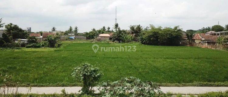 Jual Tanah Di Keragilan, Ciujung - Serang, Banten 1