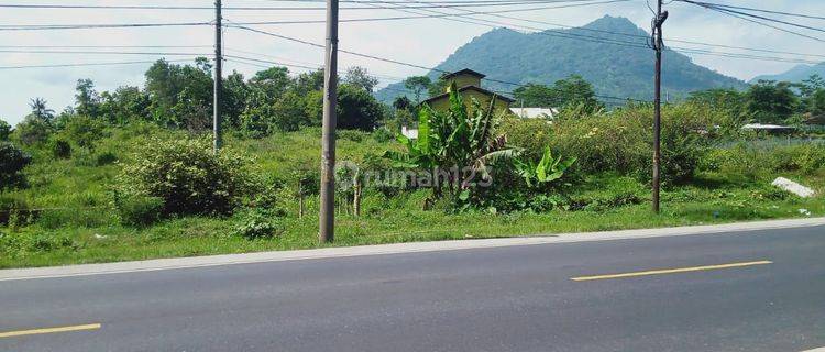 Tnh Mrh Utk Gudang JL. Raya Limbangan, Ciaro  1