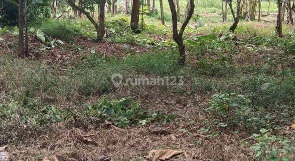 Tanah Curug Serang strategis siap bangun siap nego 1