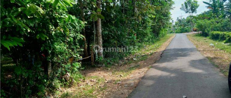 Cheap land in Jembrana Bali suitable for warehouses 1