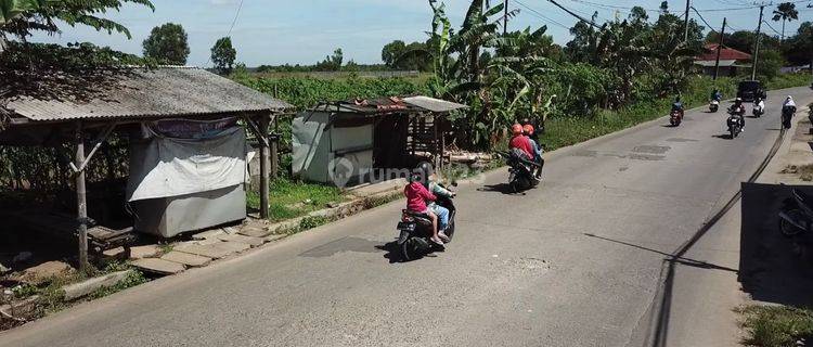 Jual Tanah Di Jalan Raya Munjul, Tigaraksa - Tangerang, Banten 1