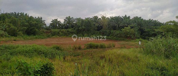 Tanah Lahan Murah Siap Bangun Dengan Luas 9.320m di Cikidang Pelabuhan Ratu Sukabumi Jawa Barat 1