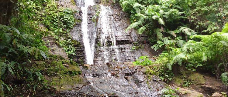 DIJUAL TANAH AIR TERJUN DAN MATA AIR BULELENG 1