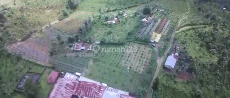 SEA AND MOUNTAIN VIEW LAND IN BULELENG 1