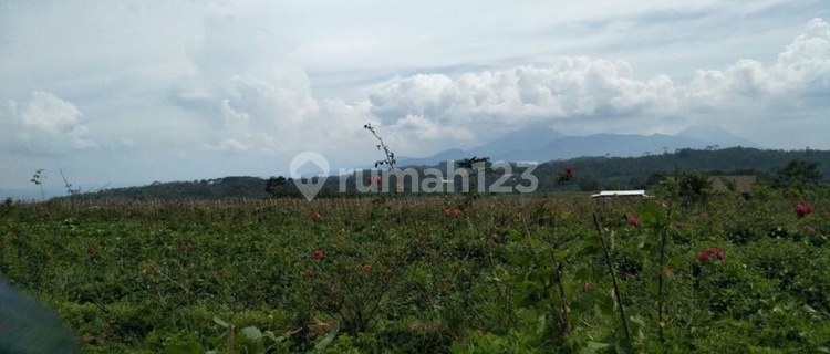 TANAH VIEW BAGUS DI BANDUNGAN 1