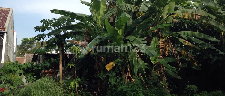 TANAH TAMAN MARINA 1