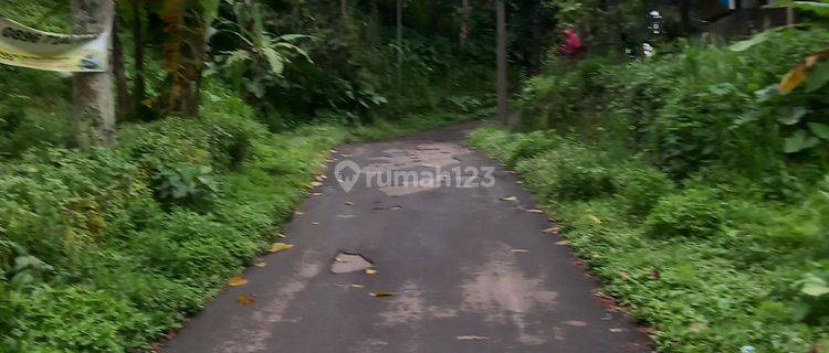 Tanah Trawas , kampung durian 1