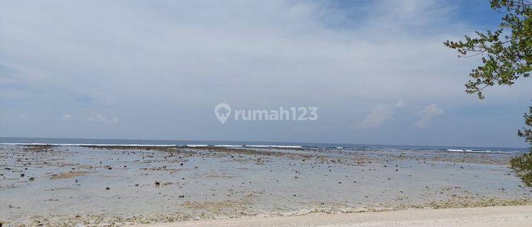 tanah beach front langka di gili trawangan lombok 1